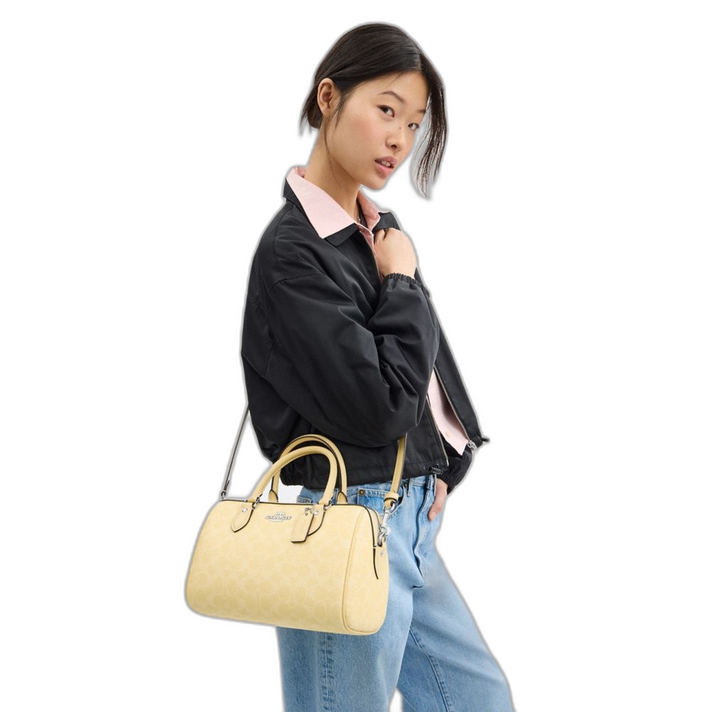 Mini sac